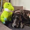 Cachou, douce comme un bonbon