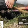 Jon Bon Jovi  sucht Menschen mit Lust auf ein ganzes ...