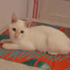 EDUARD