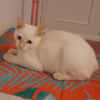 EDUARD