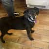 BIMON