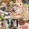 JOSHI & LUCKY  WO SIND EURE MENSCHEN?