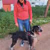 Rufo - menschenbezogen, fröhlich und lernwillig