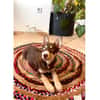 Cookie - wartet in 59590 Geseke