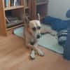 Sowa sucht dringend einen Einzelplatz!