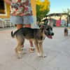 RUMBA (Martina)