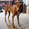 FLECHA (Maria)