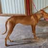 FLECHA (Maria)
