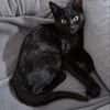 ***LUCE und RAPHIE!***