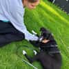 🐾 Fibs  ein Herz auf vier Pfoten sucht sein Glück! 🐾