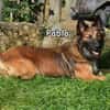 PAPLO