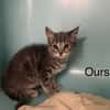 OURS