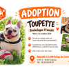 TOUPETTE réservée