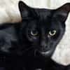 BERLIOZ