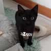 ZIGGY