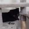 ZIGGY