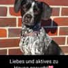 Sportliche Käthe sucht ein neues Zuhause