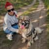 Edwina -Liebevolle Hundedame sucht tolles Zuhause!