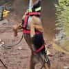 Rusty1 sucht sein Zuhause - NEUE FOTOS!!