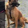 Ruby  ein ungesehener Rubin
