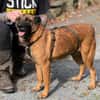Ruby  ein ungesehener Rubin