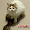 JOSEPHINE