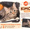 KIMCHI
