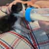 BABOUCHE