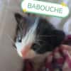 BABOUCHE
