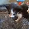 BABOUCHE