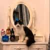 Lou sucht ihr Zuhause