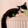 Lou sucht ihr Zuhause