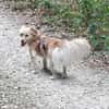 Della, ca. 27cm, sucht eine liebe Famlie
