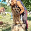 Max, fröhlicher Hund sucht neues Zuhause