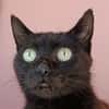 KATELL