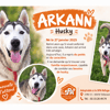 ARKANN