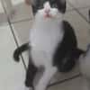 BIJOU