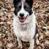 ZELDA, sportlich und intelligent