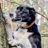 TRUDE, ein Schatz