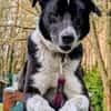 TRUDE, ein Schatz