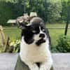 Knut - Fiverling sucht sein Happy End