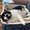 Knut - Fiverling sucht sein Happy End