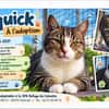 Squick
