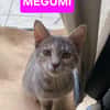 YUJI ET MEGUMI À ADOPTER ENSEMBLE