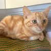 PACHA A TROUVE SA FAMILLE
