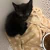 Salem