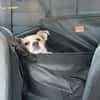Nesa - best Budy gesucht von mir der ein Foreverhome hat