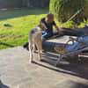 Kilian - sucht ein lebenslanges geborgenes Foreverhome
