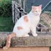 FILOU
