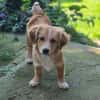 Miro sucht seine Familie ♥